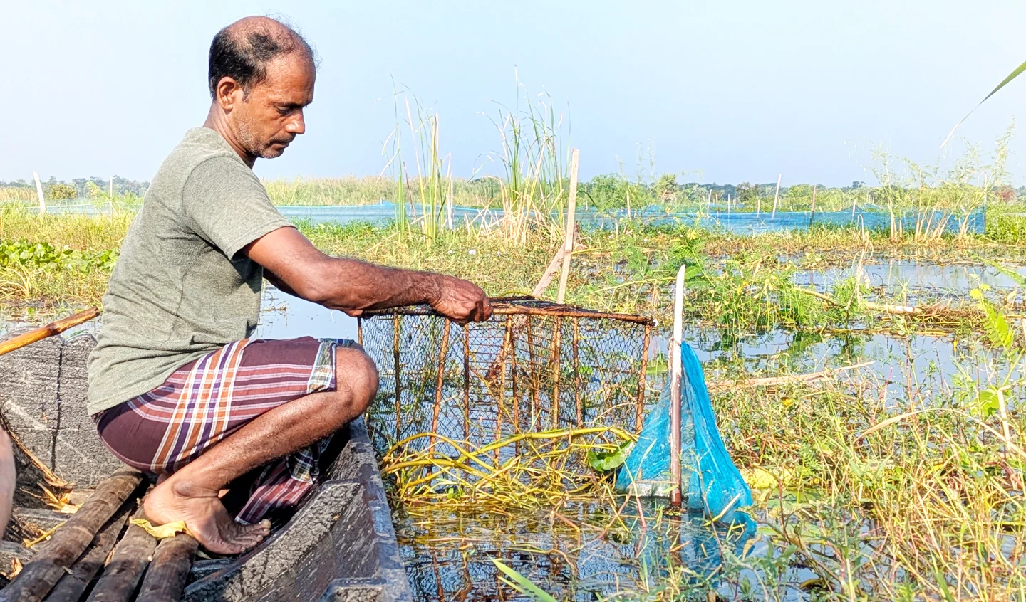 কৃষকের গ্রাম এখন মৎসজীবী এলাকা